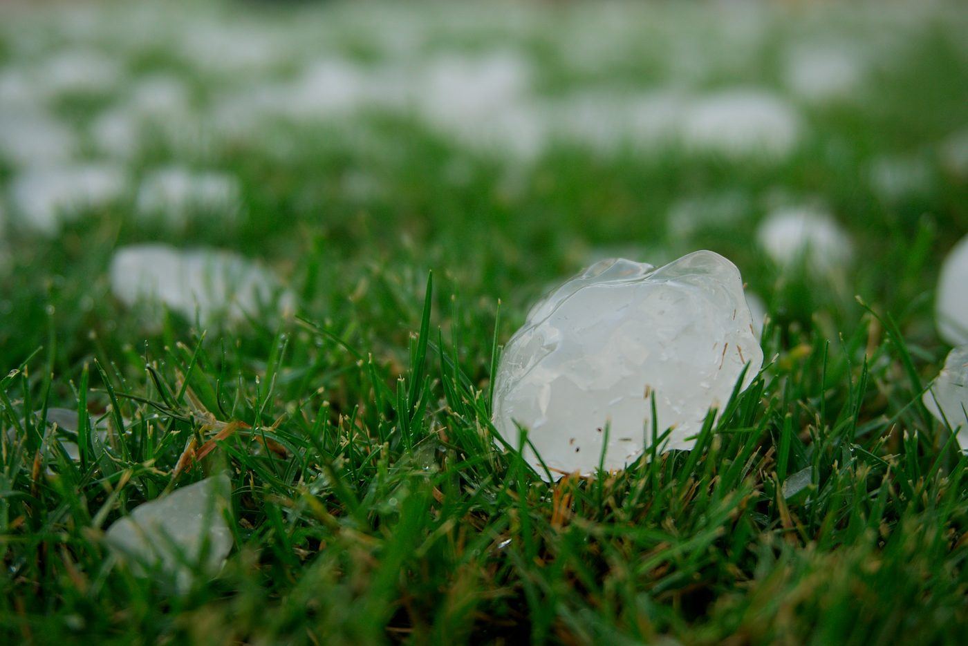 Large hailstone sitting in grass after a storm