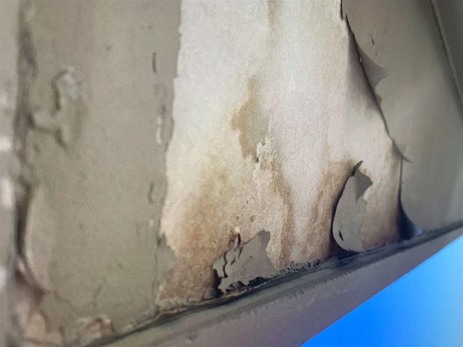 Water damaged soffit and fascia at a roof edge