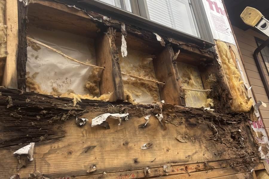 Open wall showing water damaged framing behind siding