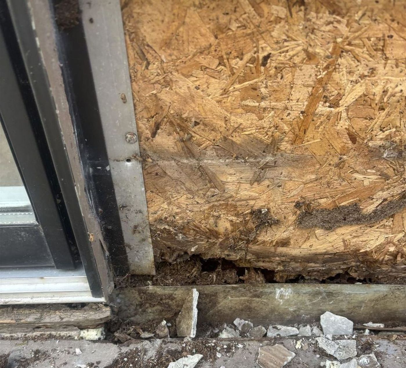 Rot in the sheathing at a window jamb with the siding removed